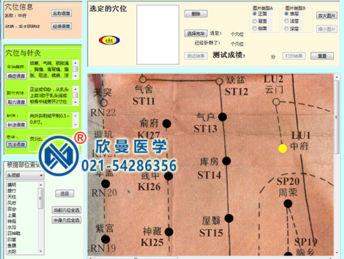 經穴學及針刺仿真訓練系統軟件界面