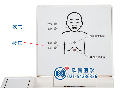 新生兒窒息復蘇模型電子顯示器